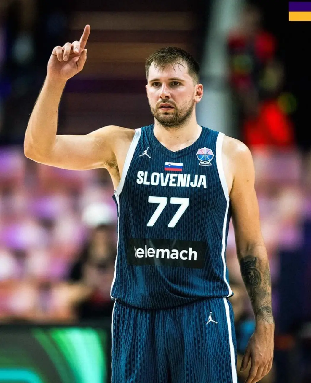 entit, 东契奇单届