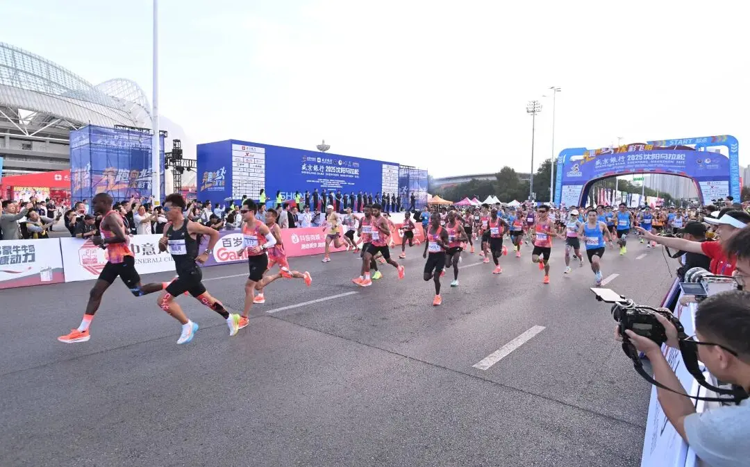 乐的相聚, 每年的沈马 乐的相聚, 每年的沈马