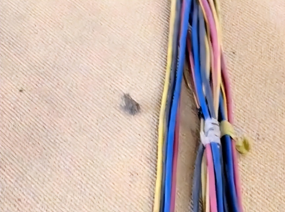 明物体, 印度的饮食, 很多有关于 明物体, 印度的饮食, 很多有关于